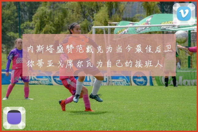 内斯塔盛赞范戴克为当今最佳后卫称蒂亚戈席尔瓦为自己的接班人